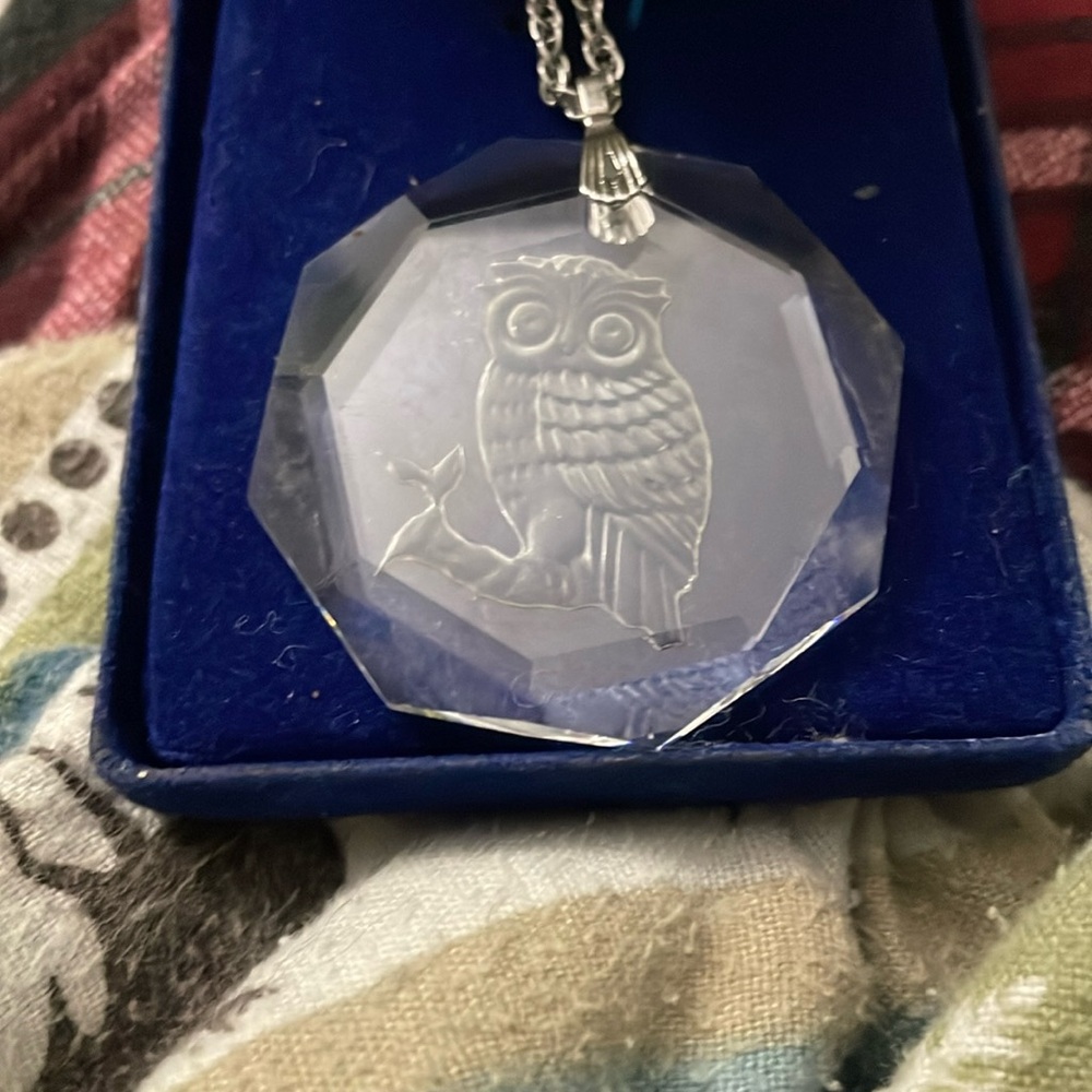 Etched Glass Owl Necklace